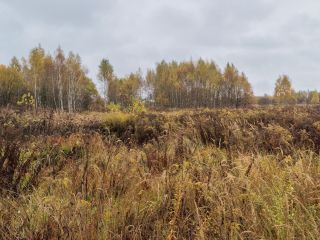 Продается участок земли под личное подсобное хозяйство с коммуникациями фото Суворов