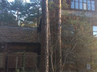 Продается нежилое помещение фото 2 Новосибирск