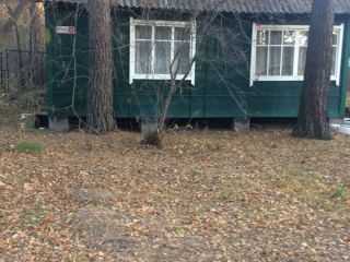 Продается нежилое помещение фото 7 Новосибирск