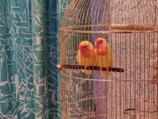 Продается кирпичный дом косметический ремонт с коммуникациями фото 7 Ессентуки