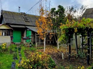 Продается деревянный дом косметический ремонт пластиковые окна с газовым отоплением фото 6 Сельцо