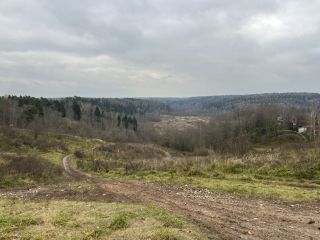 Продаю помещение свободного назначения рядом асфальт фото Дмитров