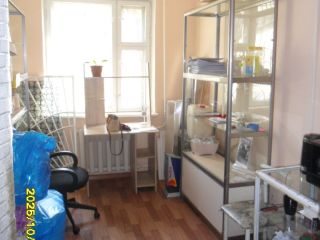 Сдам помещение под магазин фото 2 Артём