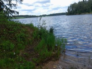 Продается зем участок асфальтная дорога фото 3 Зубцов