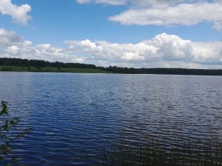 Продается зем участок асфальтная дорога фото 4 Зубцов