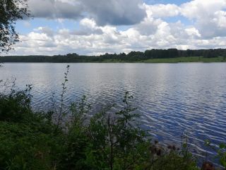 Продается зем участок асфальтная дорога фото 5 Зубцов