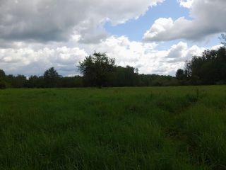 Продается зем участок асфальтная дорога фото 6 Зубцов