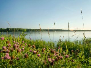 Продам блочный коттедж под охраной видеонаблюдение фото 12 Дмитров