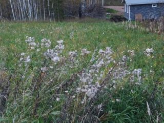 Продам земельный участок рядом лес под индивидуальное жилищное строительство фото Красноярск