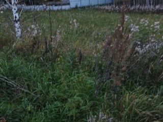 Продам земельный участок рядом лес под индивидуальное жилищное строительство фото 4 Красноярск