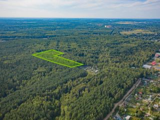 Продается участок земли в садовом некоммерческом товариществе фото 6 Пушкино