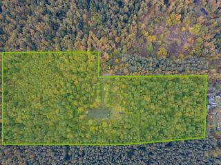 Продается участок земли в садовом некоммерческом товариществе фото 2 Пушкино