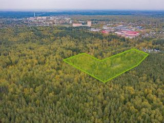 Продается участок земли в садовом некоммерческом товариществе фото 9 Пушкино