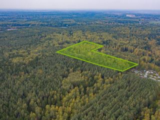 Продается участок земли в садовом некоммерческом товариществе фото 10 Пушкино