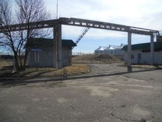 Продаю производство рядом асфальт фото 4 Тамбов