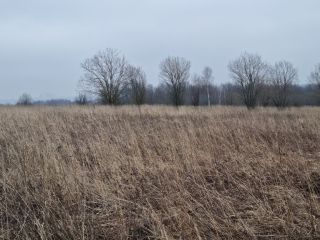 Продается земельный участок есть электричество фото 17 Щёкино