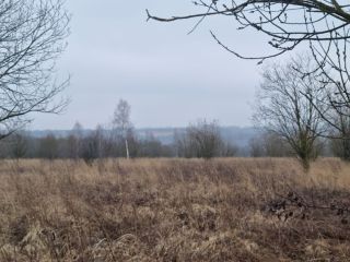 Продам зем участок есть электричество фото 6 Щёкино