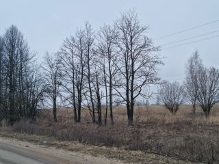 Продам зем участок есть электричество фото 8 Щёкино