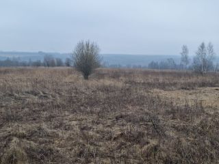 Продам зем участок есть электричество фото 12 Щёкино