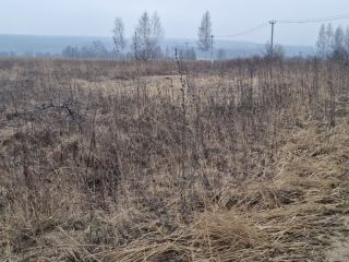 Продам зем участок есть электричество фото 16 Щёкино