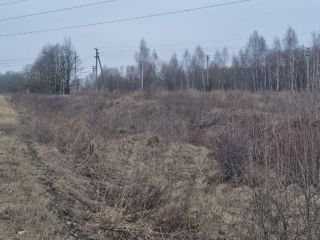 Продам зем участок есть электричество фото 21 Щёкино