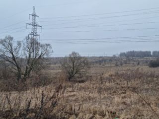 Продаю земельный участок есть электричество фото 18 Щёкино