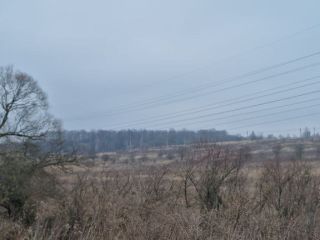 Продаю земельный участок есть электричество фото 22 Щёкино