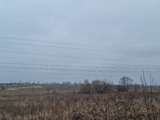 Продаю участок земли есть электричество фото 2 Щёкино