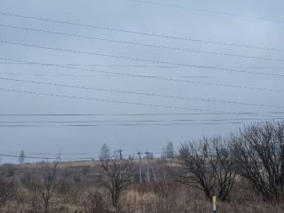 Продаю участок земли есть электричество фото 8 Щёкино