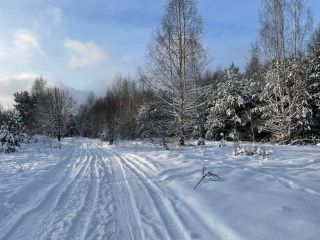 Продаю зем участок фото 2 Крева