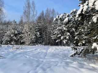 Продаю зем участок фото Крева