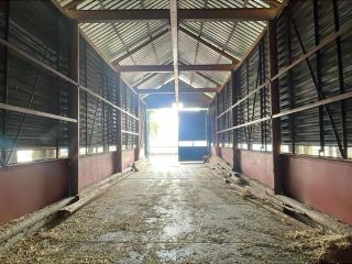 Продаю нежилое помещение фото 13 Сургут