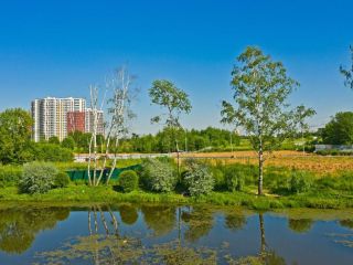 Продам 1 комнатную квартиру фото 22 Мытищи