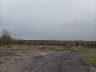 Продается участок земли фото 4 Руза