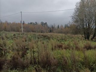 Продается участок земли фото 5 Руза