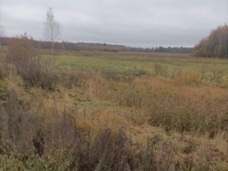 Продам зем участок фото 4 Руза