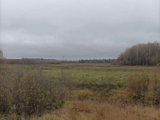 Продам зем участок фото 5 Руза