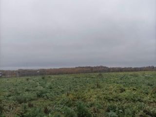 Продам зем участок фото 7 Руза