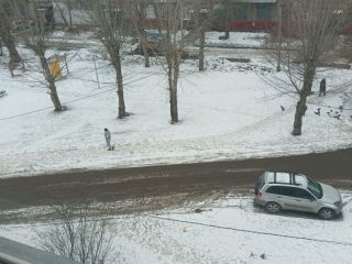 Продам однушку пластиковые окна есть документы фото 9 Красноярск