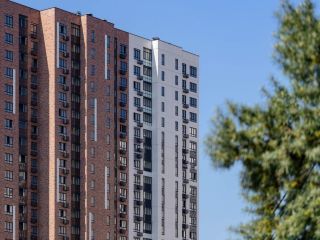 Продается помещение свободного назначения с плодоносящим садом свободного назначения фото 16 Видное