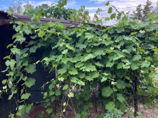 Продаю деревянный дом документы в полном порядке фото 8 Волгоград