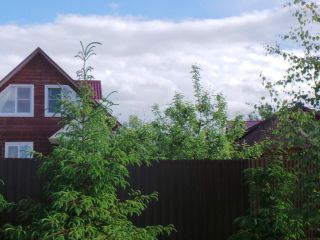 Сдам коттедж посуточно фото 3 Углич