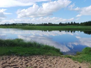 Сдам коттедж посуточно фото 9 Углич