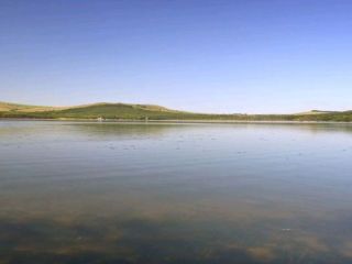 Продается нежилое помещение фото 7 Железноводск