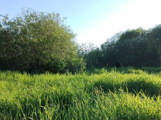 Продаю участок земли под личное подсобное хозяйство под индивидуальное жилищное строительство фото Гатчина