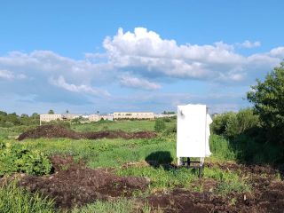 Продаю участок земли под личное подсобное хозяйство под индивидуальное жилищное строительство фото 3 Гатчина