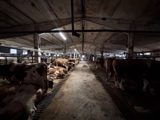 Сдам производство подключена канализация фото 2 Наро-Фоминск