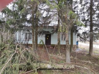 Продается помещение свободного назначения рядом асфальт фото 12 Новосиль