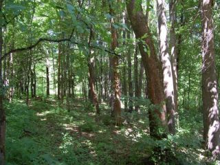 Продаю зем участок с коммуникациями есть электричество фото 6 Истра