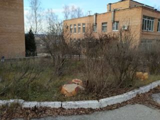 Продам нежилое помещение фото 7 Спасск-Рязанский